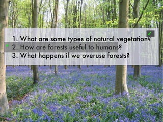 ✔
    1. What are some types of natural vegetation?
✐
    2. How are forests useful to humans?
    3. What happens if we overuse forests?
 