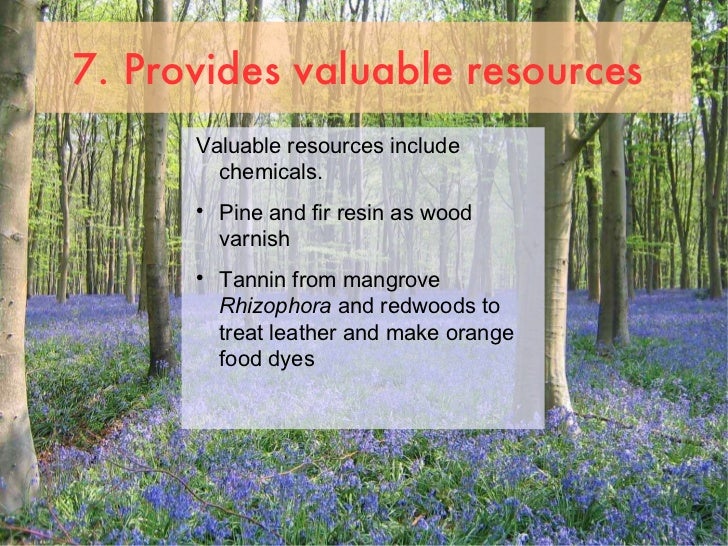 Uses of forests