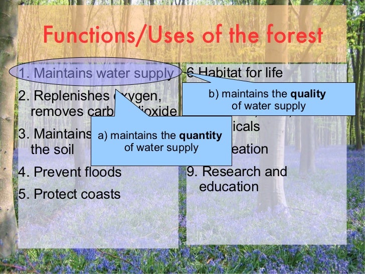 Uses of forests