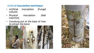 Tree Inoculation Forest Utilization-II-Agarwood tree uses and family | PDF