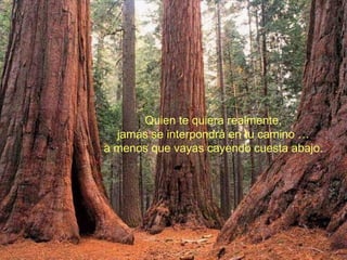 Quien te quiera realmente, jamás se interpondrá en tu camino … a menos que vayas cayendo cuesta abajo. 