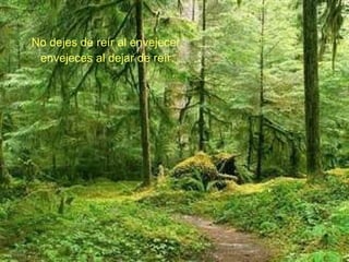 No dejes de reír al envejecer, envejeces al dejar de reír. 