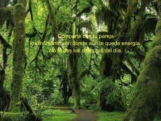 Comparte con tu pareja los momentos en donde aun te quede energía. No le des los despojos del día. 