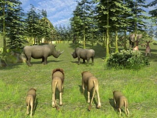 Forest wild life simulator 3 d