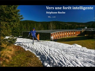 Vers une forêt intelligente
Stéphane Roche
 