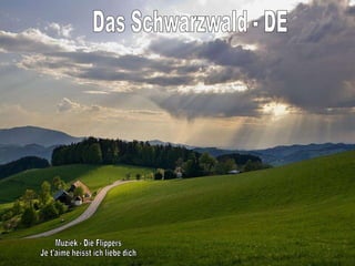 Das Schwarzwald - DE Muziek - Die Flippers Je t'aime heisst ich liebe dich 