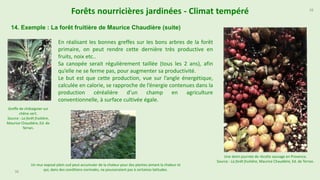 38
Forêts nourricières jardinées - Climat tempéré
14. Exemple : La forêt fruitière de Maurice Chaudière (suite)
38
Une demi-journée de récolte sauvage en Provence.
Source : La forêt fruitière, Maurice Chaudière, Ed. de Terran.
Greffe de châtaignier sur
chêne vert.
Source : La forêt fruitière,
Maurice Chaudière, Ed. de
Terran.
En réalisant les bonnes greffes sur les bons arbres de la forêt
primaire, on peut rendre cette dernière très productive en
fruits, noix etc..
Sa canopée serait régulièrement taillée (tous les 2 ans), afin
qu’elle ne se ferme pas, pour augmenter sa productivité.
Le but est que cette production, vue sur l’angle énergétique,
calculée en calorie, se rapproche de l’énergie contenues dans la
production céréalière d’un champ en agriculture
conventionnelle, à surface cultivée égale.
Un mur exposé plein sud peut accumuler de la chaleur pour des plantes aimant la chaleur et
qui, dans des conditions normales, ne pousseraient pas à certaines latitudes.
 