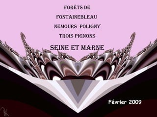 Forêts DE Fontainebleau  Nemours  poligny trois pignons Seine et marne Février 2009 