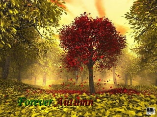 ForeverForever AutumnAutumn
 