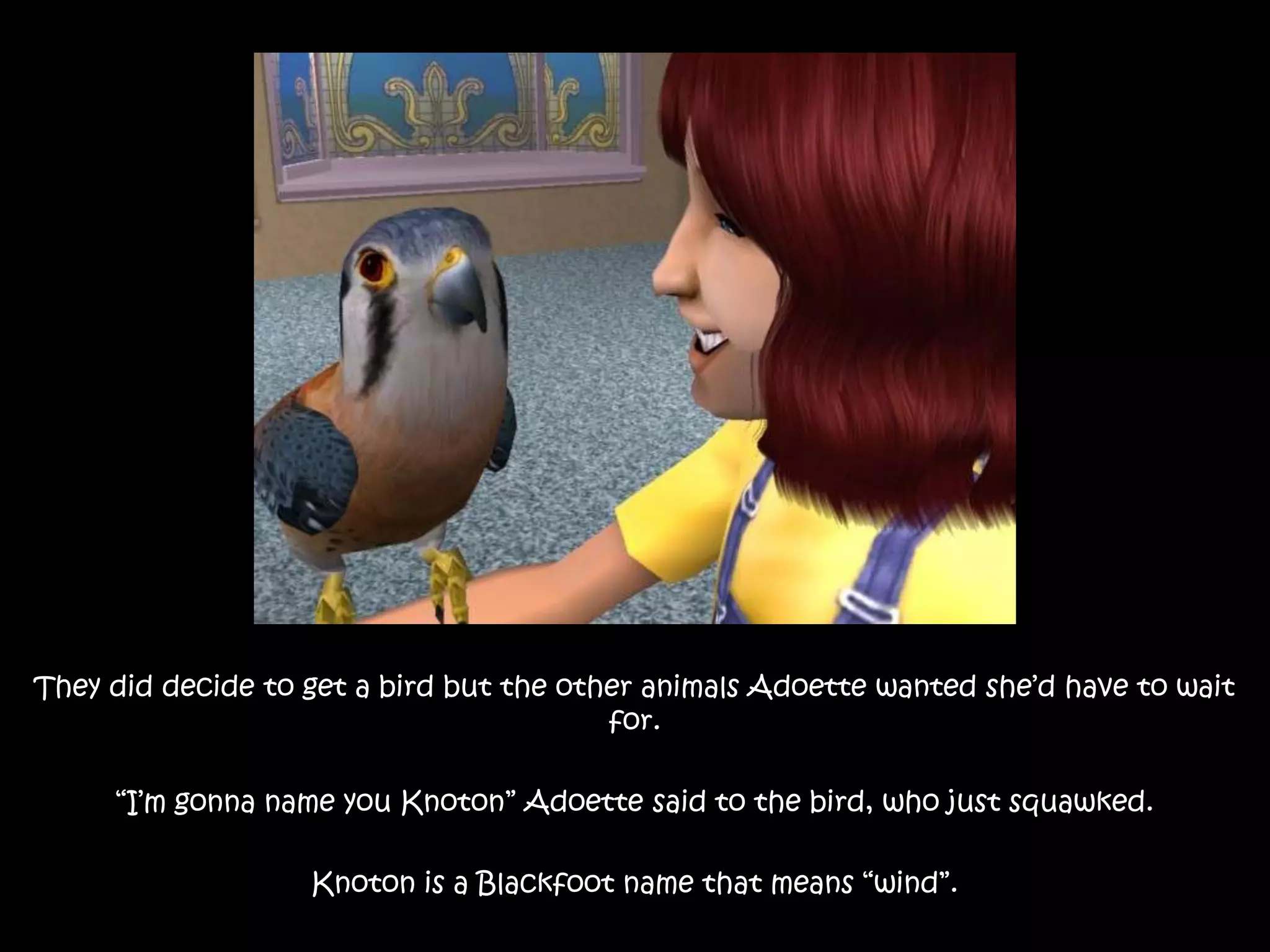 They did decide to get a bird but the other animals Adoette wanted she’d have to wait for.“I’m gonna name you Knoton” Adoette said to the bird, who just squawked.Knoton is a Blackfoot name that means “wind”.
