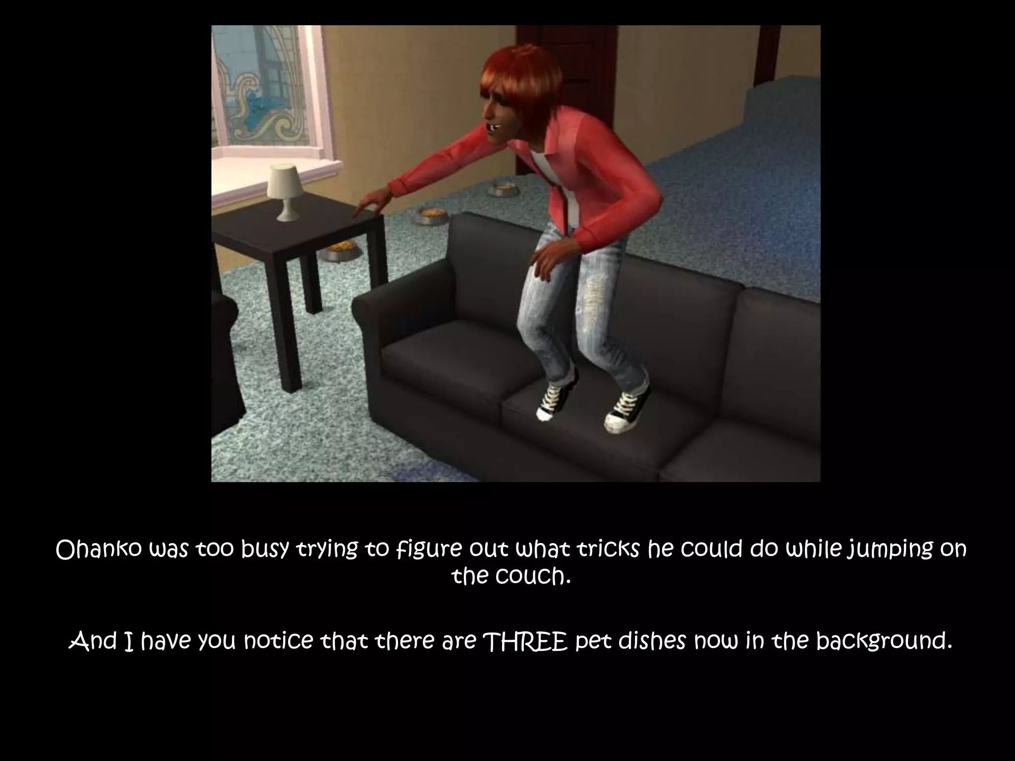 Ohanko was too busy trying to figure out what tricks he could do while jumping on the couch. And I have you notice that there are THREE pet dishes now in the background.