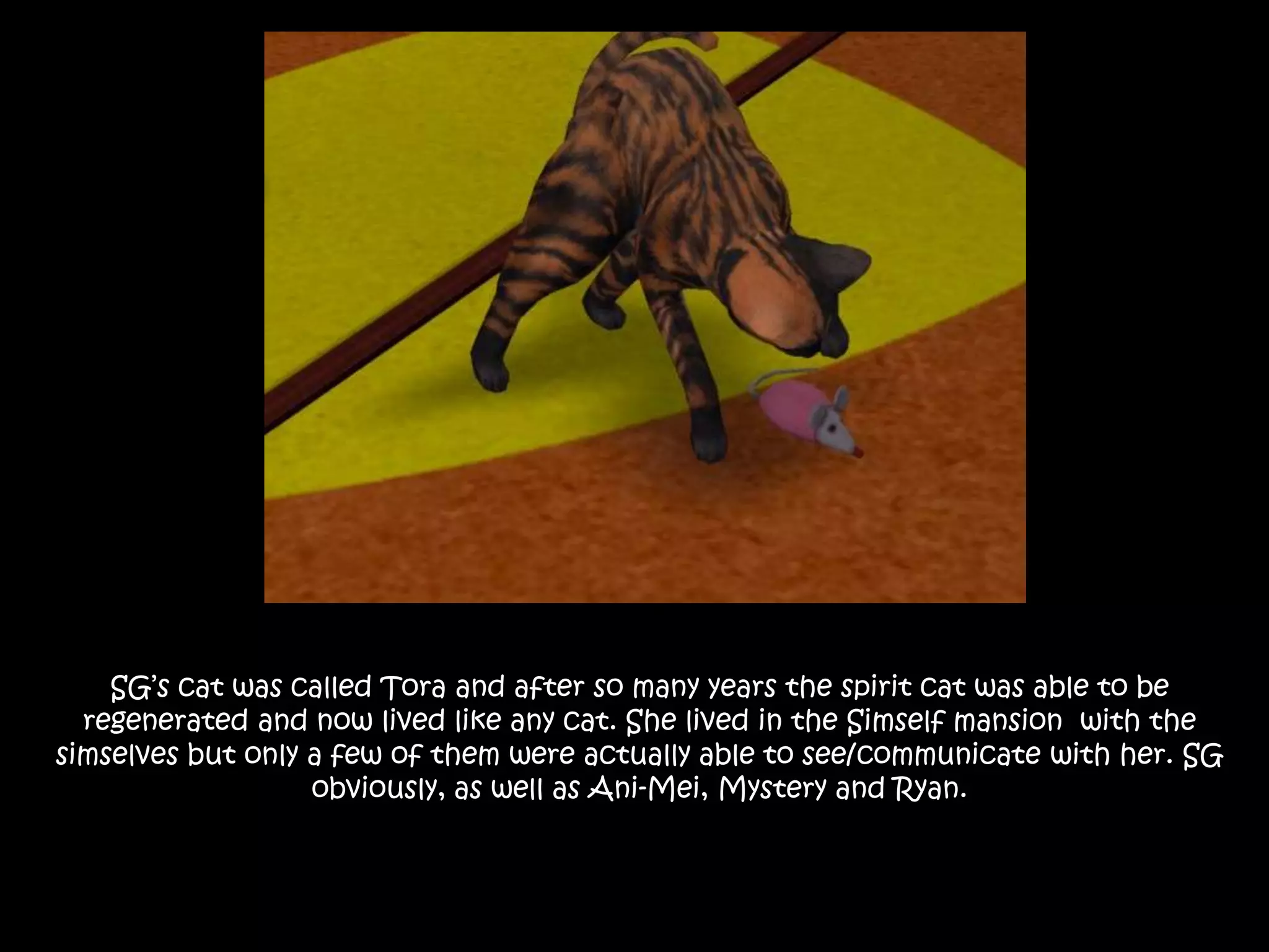 SG’s cat was called Tora and after so many years the spirit cat was able to be regenerated and now lived like any cat. She lived in the Simself mansion  with the simselves but only a few of them were actually able to see/communicate with her. SG obviously, as well as Ani-Mei, Mystery and Ryan.