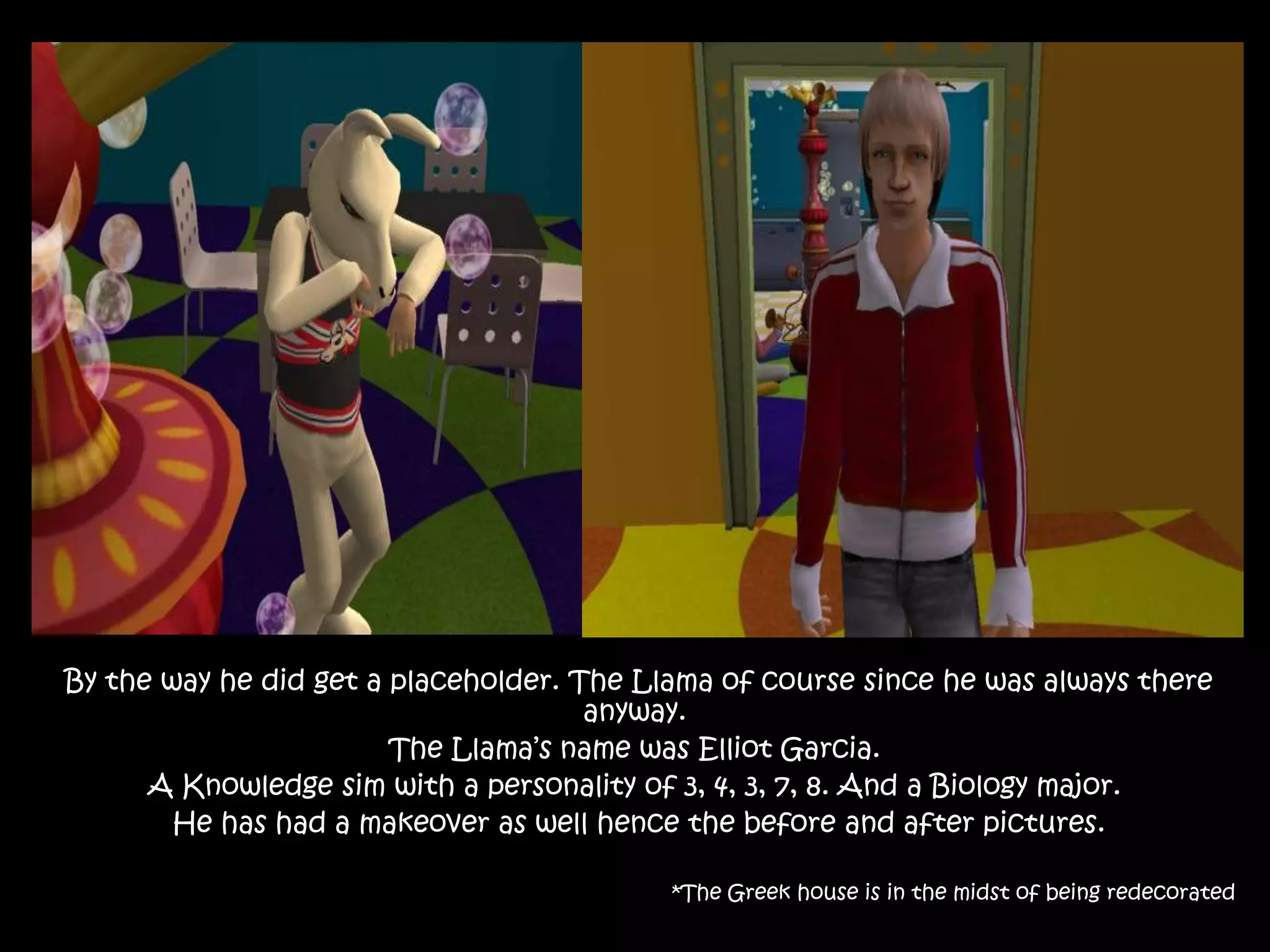  By the way he did get a placeholder. The Llama of course since he was always there anyway.The Llama’s name was Elliot Garcia.A Knowledge sim with a personality of 3, 4, 3, 7, 8. And a Biology major. He has had a makeover as well hence the before and after pictures.*The Greek house is in the midst of being redecorated