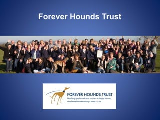 Forever Hounds Trust
 
