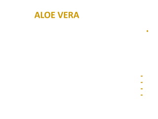 ALOE VERA
                •




            -
            -
            -
            -
 