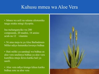 Kuhusu mmea wa Aloe Vera
• Mmea wa asili na salama uliotumika
tangu miaka mingi iliyopita.
Ina mchanganyiko wa 200
compounds, 20 madini, 18 amino
acids na 12 vitamins
• Ni aina moja tu ya Aloe Barbadensis
Miller ndiyo hutumika kwenye bidhaa
• Hati miliki ya uandaaji wa bidhaa za
aloe vera unafanya bidhaa ya aloe vera
kumfikia mteja ikiwa katika hali ya
uasili.
• Aloe vera ndiyo kiungo kikuu katika
bidhaa zote za aloe vera
 