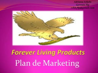 Plan de Marketing

 