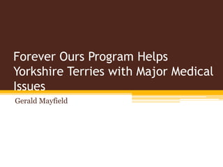Forever Ours Program Helps
Yorkshire Terries with Major Medical
Issues
Gerald Mayfield
 