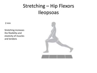 Stretching – Hip Flexors
Ileopsoas
2 min
Stretching increases
the flexibility and
elasticity of muscles
and tendons