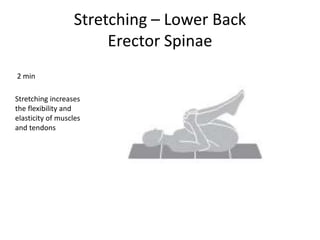 Stretching – Lower Back
Erector Spinae
2 min
Stretching increases
the flexibility and
elasticity of muscles
and tendons