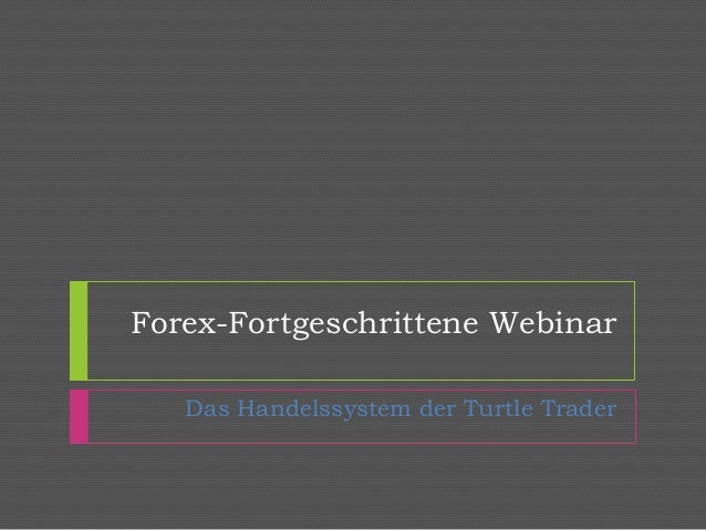 Turtle trading forex results