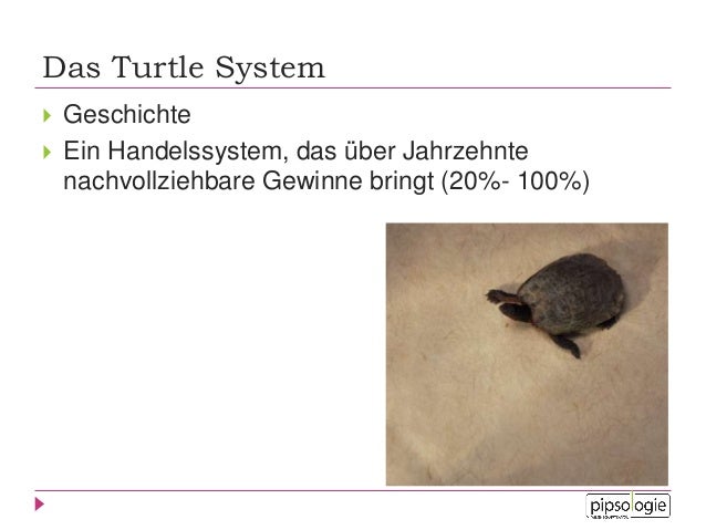 Forex der perfekte einstieg