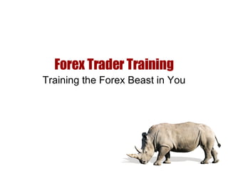 Forex Trader Training Training the Forex Beast in You 