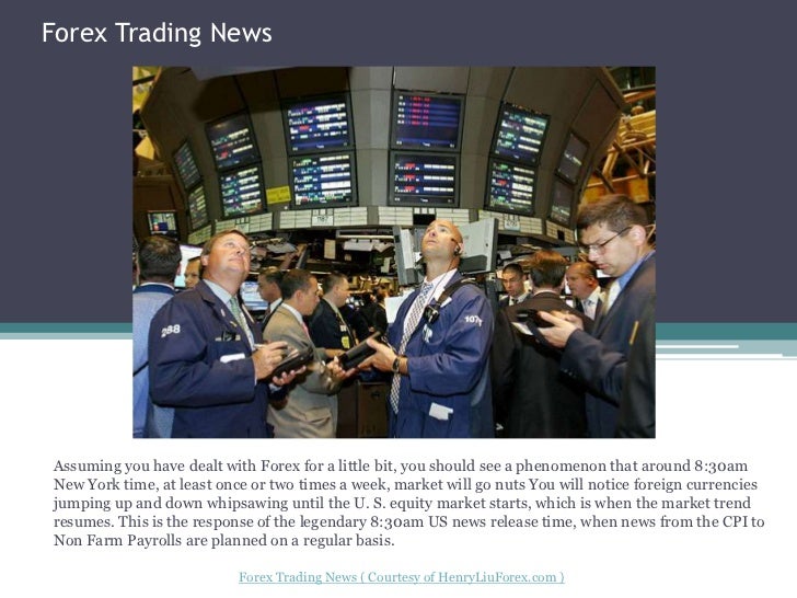 Forex trader cv