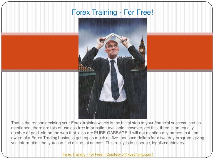 Bobokus forex training program