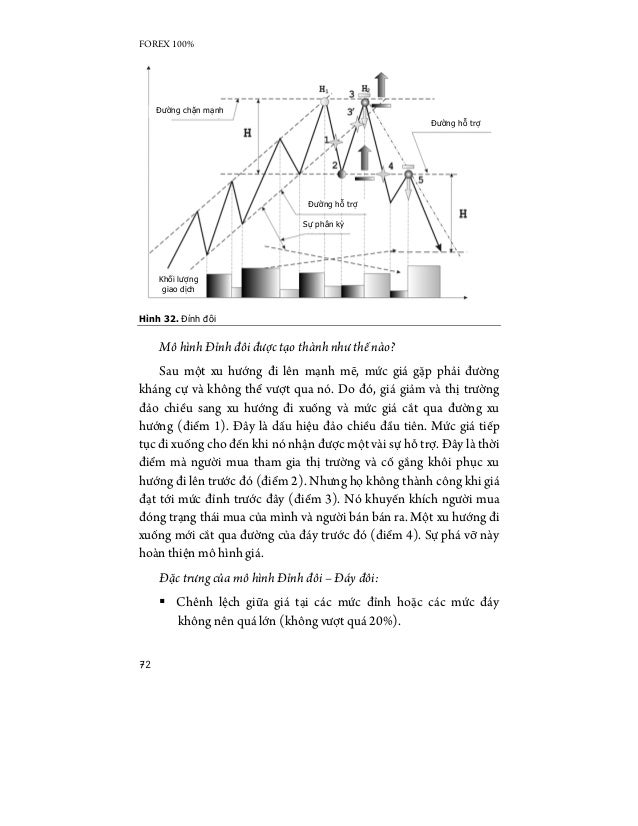 100 forex net