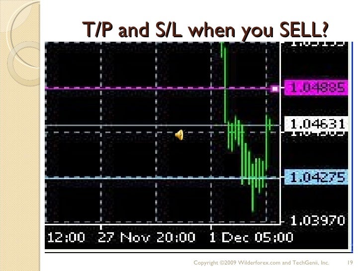 Forex trader 101
