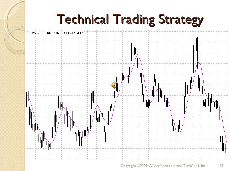 Forex trader 101
