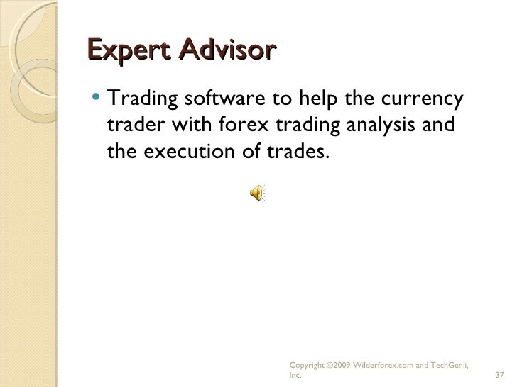 Forex trader 101