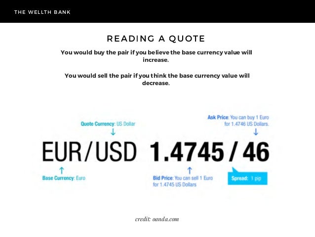 Forex Basics For Newbies The Wellth Bank - 