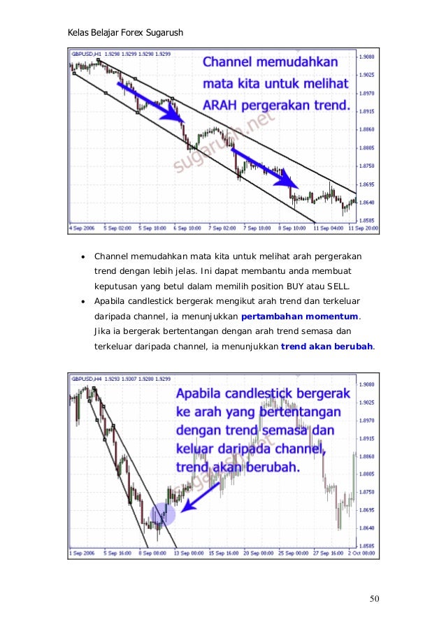 sugarush forex