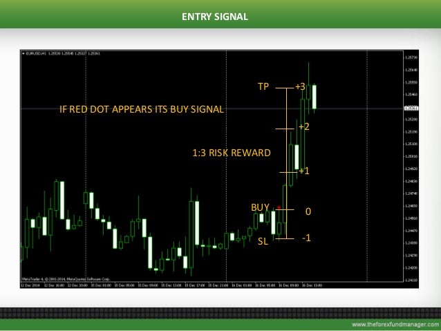 Forex fund management company