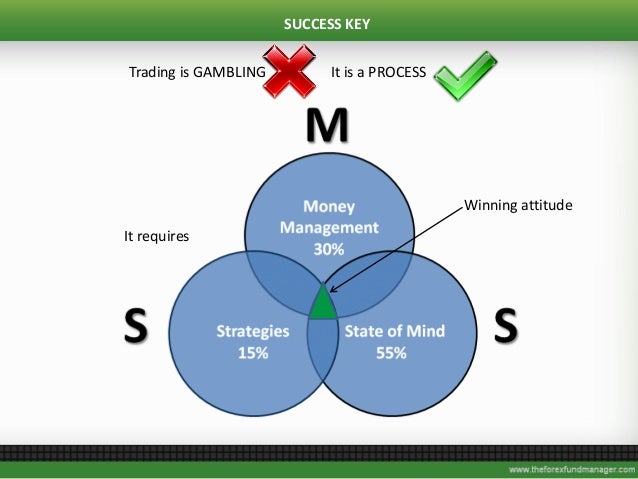 Forex portfolio management