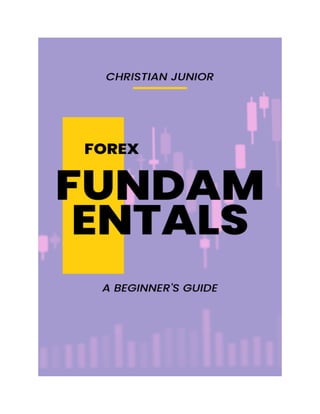 Forex Fundamentals A Beginner S Guide Pdf Forex Fundamentals A Beginner S Guide Pdf