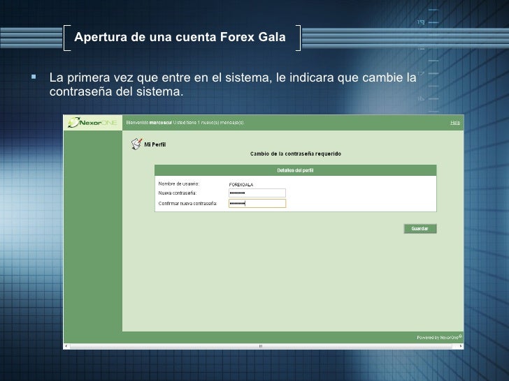 Sistema forex gala