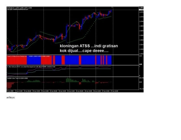 Forex killer