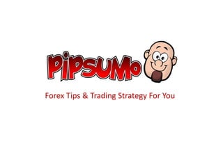 Forex Tips & Trading Strategy For You
 