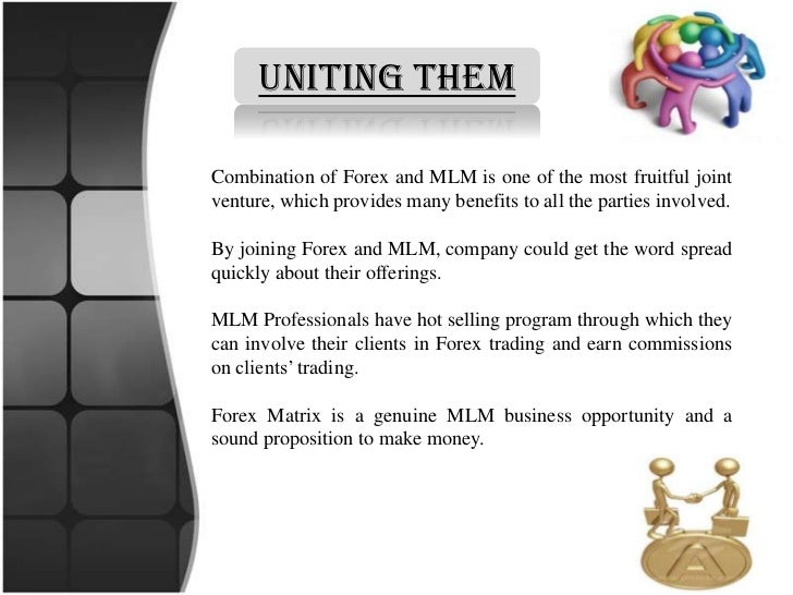 Mlm forex companies
