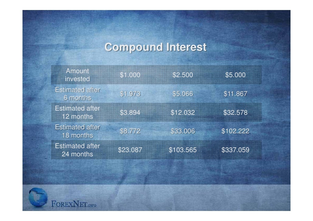 forex wealth club