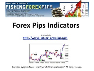 Forex Pips Indicators
                                 By James Taylor

            http://www.FishingForexPips.com




Copyright by James Taylor - http://www.fishingforexpips.com/ All rights reserved.
 