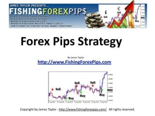 Forex Pips Strategy
                                 By James Taylor

            http://www.FishingForexPips.com




Copyright by James Taylor - http://www.fishingforexpips.com/ All rights reserved.
 