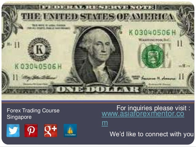 19 Best Forex Training and Trading Courses for Beginners (Free & Paid)