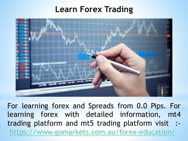 Forex Trading Education For Beginners - 