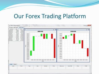 Our Forex Trading Platform
 