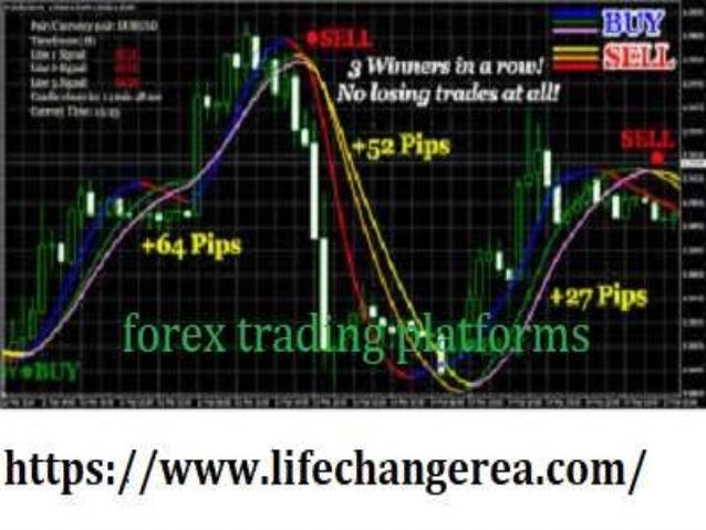 Choose Most Profitable Forex Trading System At Life Changer Ea - 