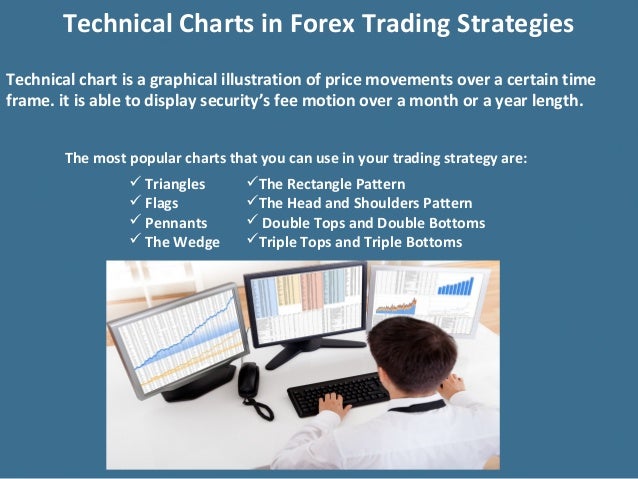 Forex brokerage solutions
